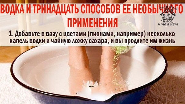 Способы продления жизни. Перемены в жизни к лучшему. 13 способов жизни. Памятка для пожилых людей. 13 способов жизни.
