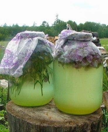 СУРИЦА - НЕОБЫКНОВЕННЫЙ НАПИТОК, КОТОРЫЙ ГОТОВИЛИ НАШИ ПРЕДКИ!