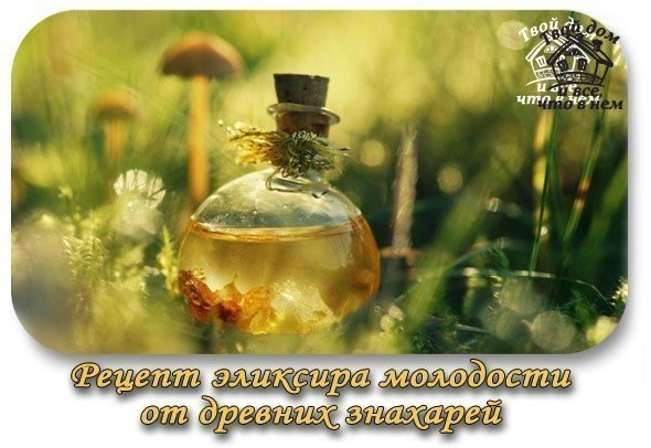Рецепт эликсира молодости от древних знахарей