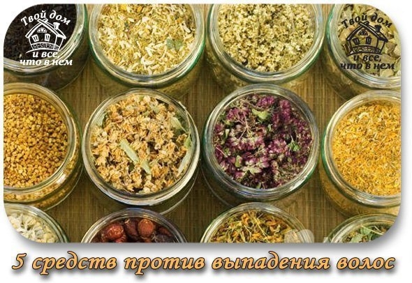 5 средств против выпадения волос