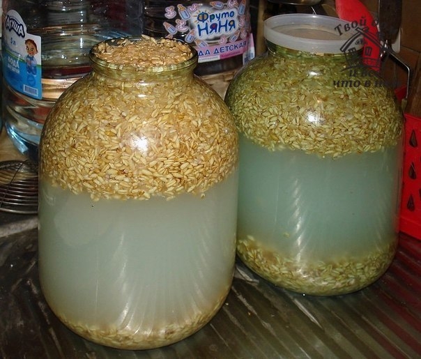 ОВСЯНЫЙ КВАС
