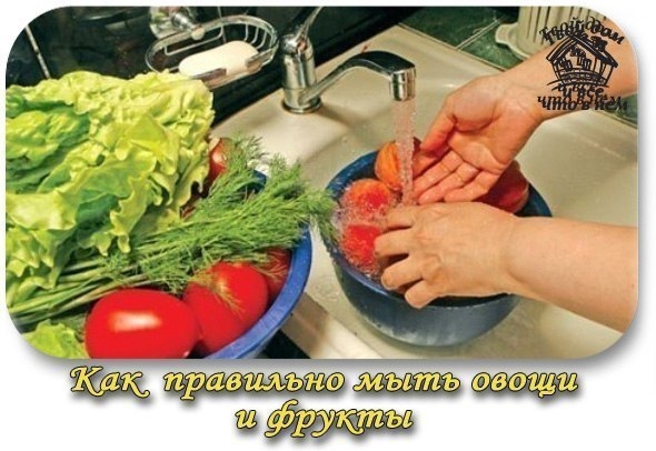 Несколько советов: как правильно мыть овощи и фрукты