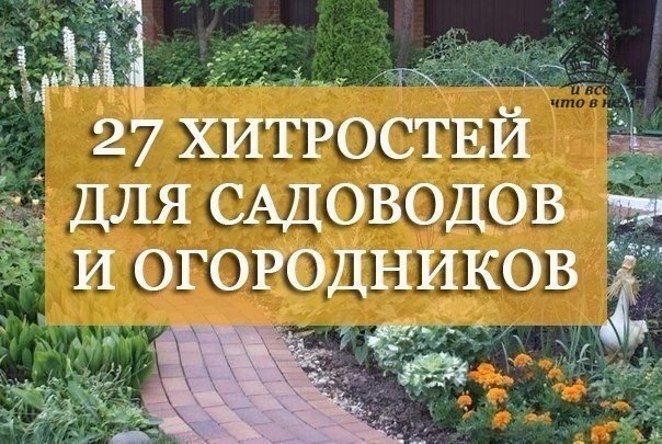 27 ЛУЧШИХ СОВЕТОВ ДАЧНИКАМ-ОГОРОДНИКАМ
