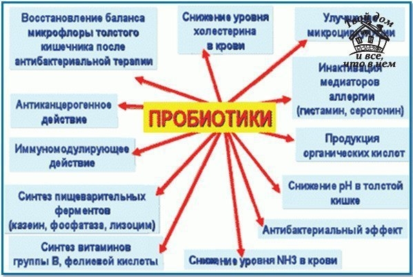 Пробиотики &ndash; это отличная защита от болезней сердца и гипертонии