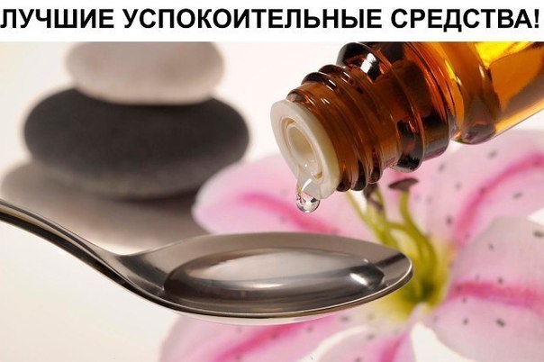 ЛУЧШИЕ УСПОКОИТЕЛЬНЫЕ СРЕДСТВА ЛУЧШИЕ УСПОКОИТЕЛЬНЫЕ СРЕДСТВА