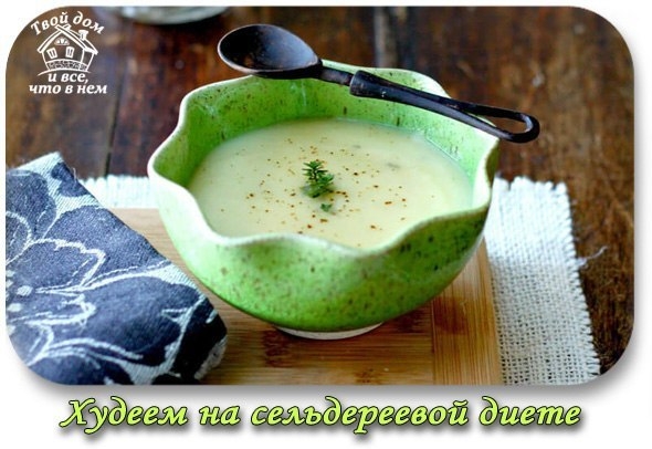 Сельдереевая диета &mdash; худеем и корректируем пищевые привычки