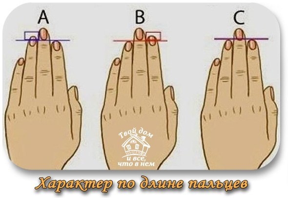 УЗНАЙТЕ ХАРАКТЕР ПО ДЛИНЕ ПАЛЬЦЕВ