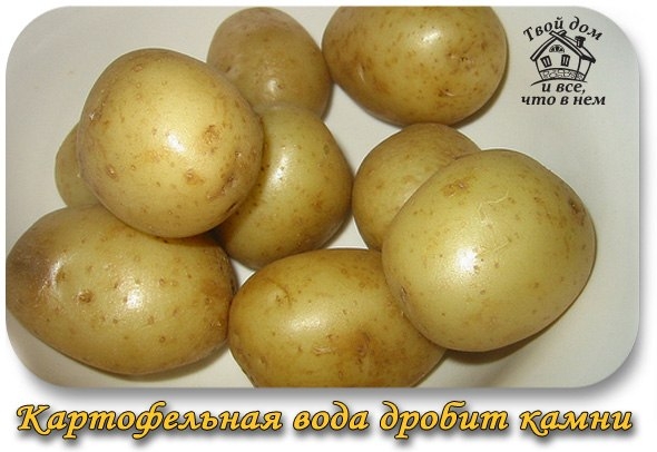 КАРТОФЕЛЬНАЯ ВОДА ДРОБИТ КАМНИ
