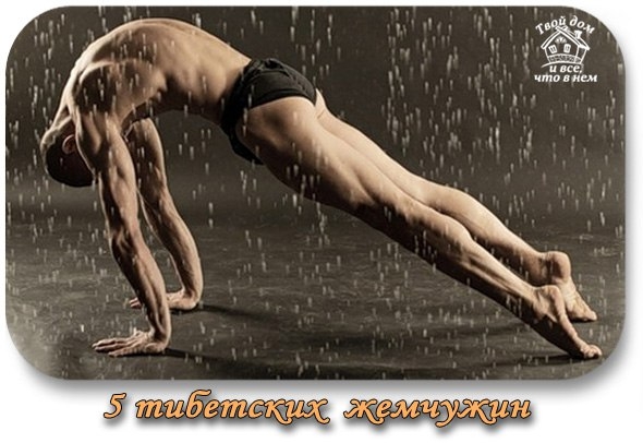 &laquo;Пять тибетских жемчужин&raquo;