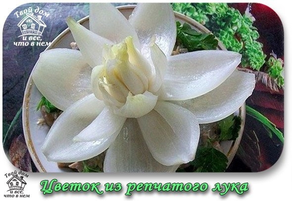 Цветок из репчатого лука для украшения блюд.