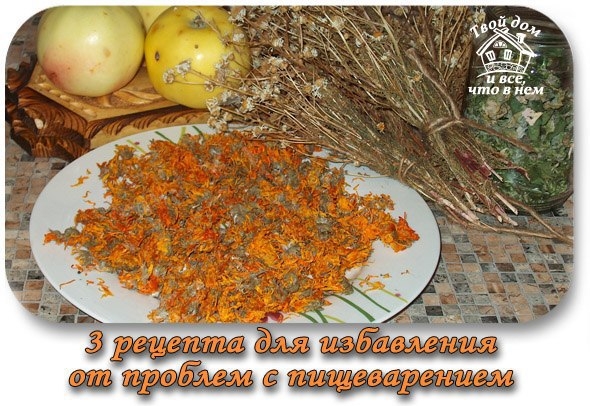 3 рецепта, как избавиться от проблем с пищеварением