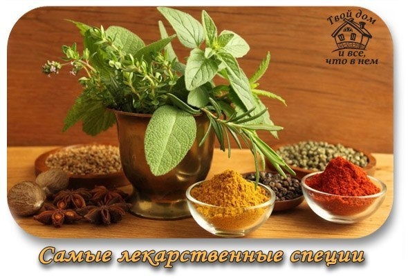 Самые лекарственные специи.