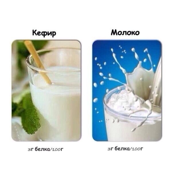 Содержание белка в продуктах