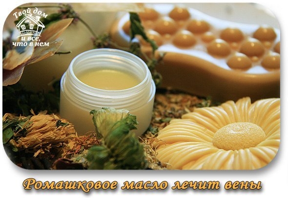 Ромашковое масло лечит вены