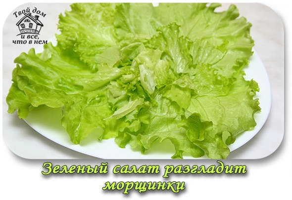 Зеленый салат разгладит морщинки