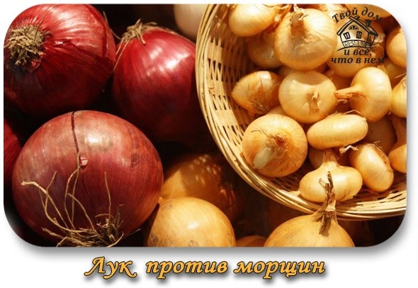 Лук против морщин