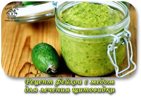Смесь фейхоа с медом - прекрасный источник йода