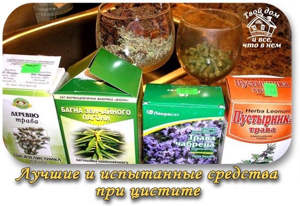 Лучшие и испытанные средства при цистите.