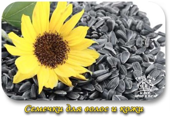 Семечки для волос и кожи Семечки для волос и кожи
