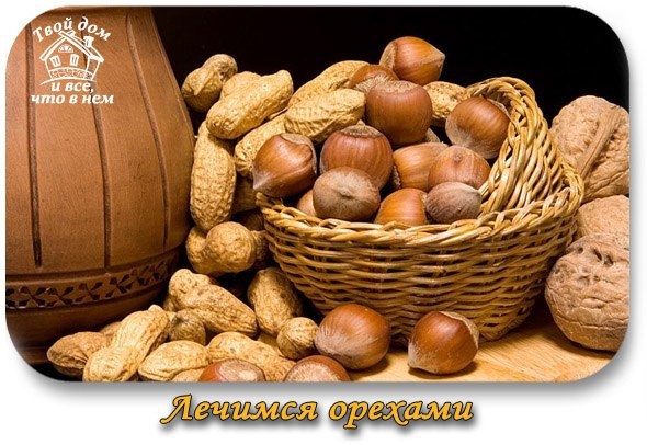 Лечимся орехами!