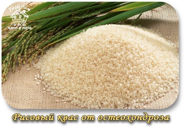 Рисовый квас от остеохондроза