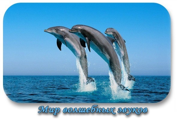 Мир волшебных звуков