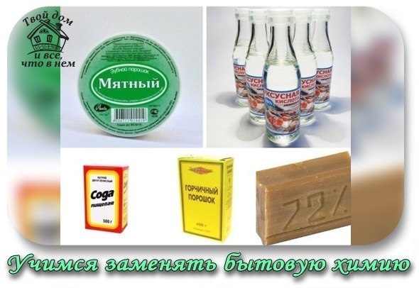 ЗАМЕНА ЯДОВИТОЙ ХИМИИ