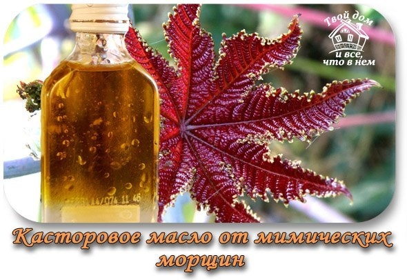 Касторовое масло лучше любого крема избавит от мимических морщин! ЭФФЕКТИВНО, ЛЕГКО, ДОСТУПНО, БЕЗОП