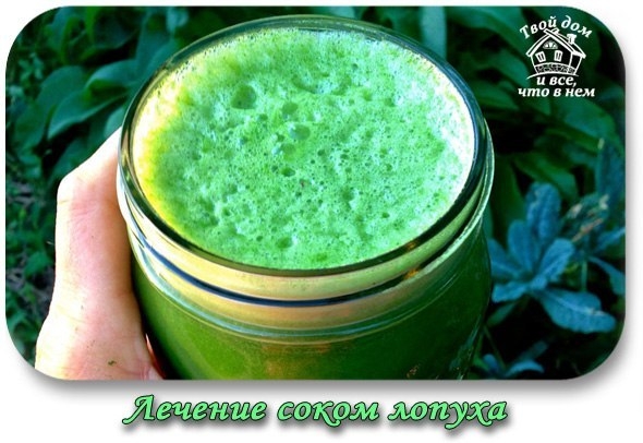 Лечение соком лопуха &mdash; старое проверенное средство