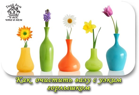 КАК ОЧИСТИТЬ ВАЗУ С УЗКИМ ГОРЛЫШКОМ