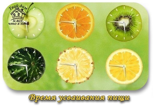 Время усваивания пищи