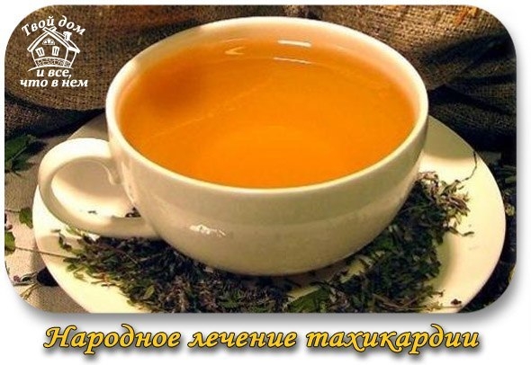 Народное лечение тахикардии