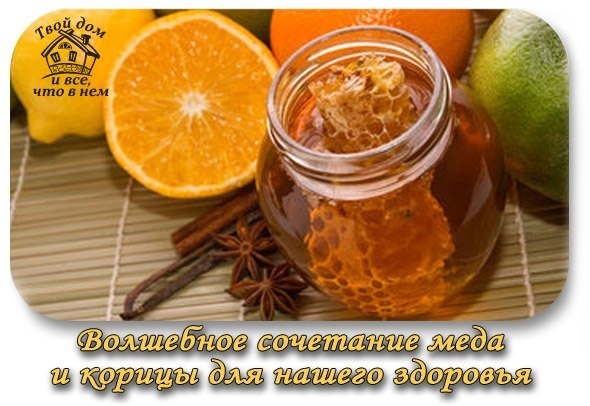 Волшебное сочетание меда и корицы творит чудеса в нашем организме!