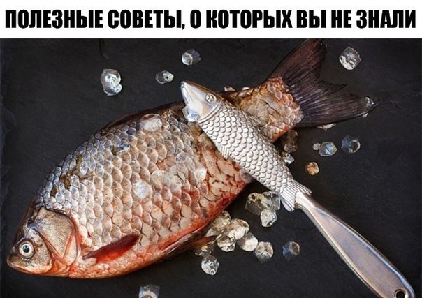 ПОЛЕЗНЫЕ СОВЕТЫ, О КОТОРЫХ ВЫ ПРЕЖДЕ НЕ ЗНАЛИ