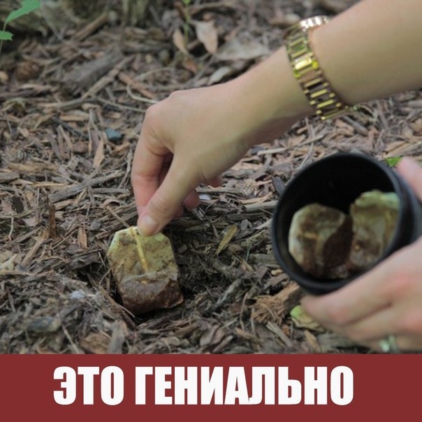 14 неожиданных способов применения чайного пакетика 14 неожиданных способов применения чайного пакетика