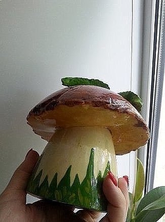 Грибы из гипса. Мастер-класс. Грибы из гипса. Мастер-класс.