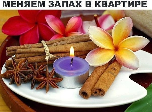Вы замечали, что все дома и квартиры пахнут по разному? У кого-то прямо с порога с ног сшибает заста