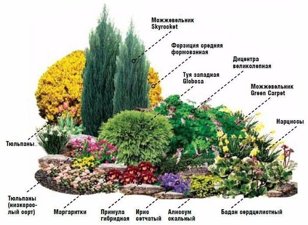 Альпийская горка своими руками