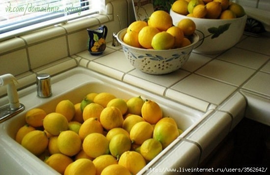 25 способов использования лимонов, о которых вы не слышали