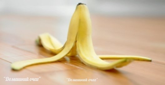 НЕ СПЕШИТЕ ВЫБРАСЫВАТЬ МУСОР! НЕ СПЕШИТЕ ВЫБРАСЫВАТЬ МУСОР!