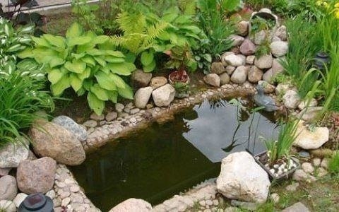 Пруд из старой ванны. Пруд из старой ванны.