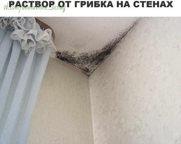1. Раствор от грибка на стенах.