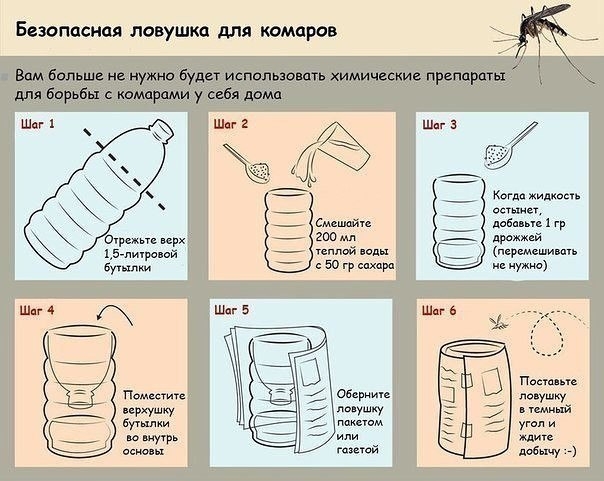 Как самостоятельно сделать безвредную ловушку для комаров