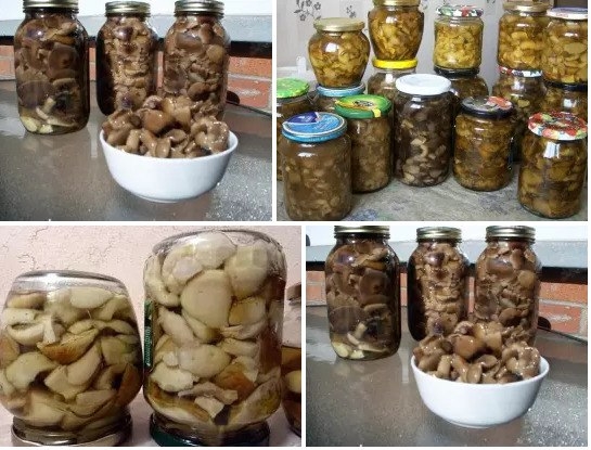 10 ВКУСНЕЙШИХ и НЕЖНЕЙШИХ заготовок из ГРИБОВ на зиму.