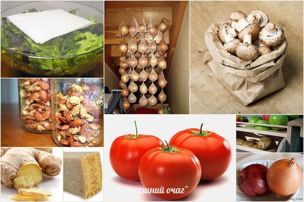 УЧИМСЯ ПРАВИЛЬНО ХРАНИТЬ ПРОДУКТЫ