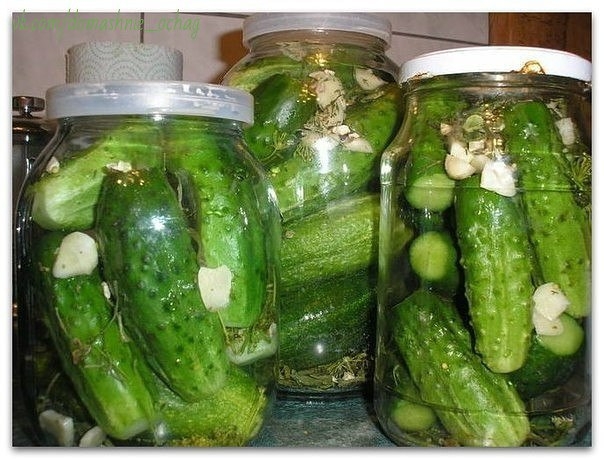 Незабываемые на вкус огурчики в "пражской" заливке