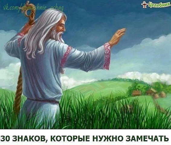 1. Когда идёте по улице и видишь перо, лежащее на земле, подберите его и