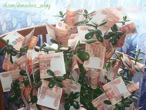 ДЕНЕЖНЫЙ ЗАГОВОР НА КОМНАТНЫЕ ЦВЕТЫ.