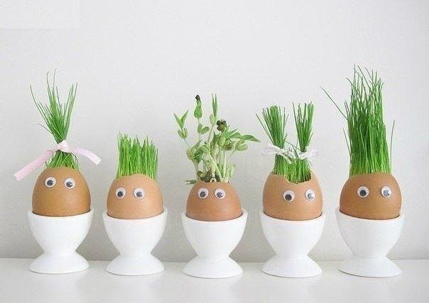 А Вы уже вырастили таких смешных человечков?