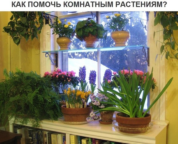 Есть простое правило: прежде чем поливать растение, опустите палец в почву на глубину 2&ndash;3 см. Она до